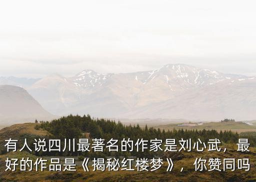 有人说四川最著名的作家是刘心武，最好的作品是《揭秘红楼梦》，你赞同吗