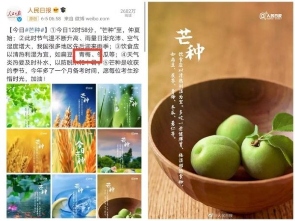 人民日报：芒种吃梅，助推溜溜梅66中国青梅节