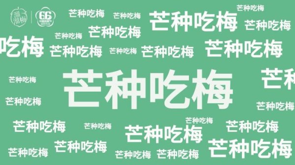 人民日报：芒种吃梅，助推溜溜梅66中国青梅节