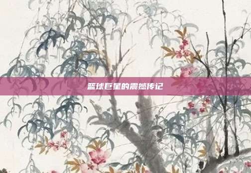 篮球巨星的震撼传记