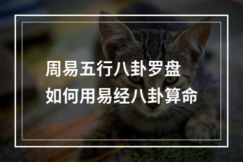 五行八卦解析