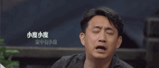 解读2019综艺营销佳案：小度C位出道！