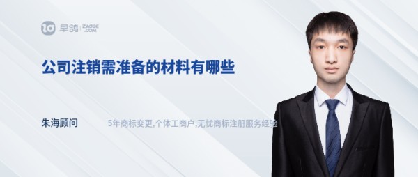公司注销需准备的材料有哪些