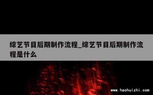 综艺节目后期制作流程_综艺节目后期制作流程是什么 第1张