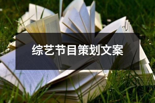 综艺节目策划文案