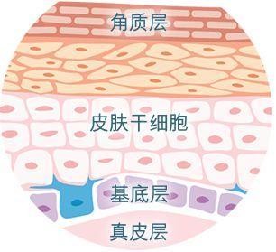 可信的面膜oem贴牌