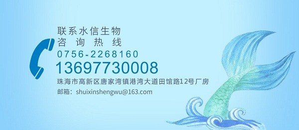 可信的面膜oem贴牌