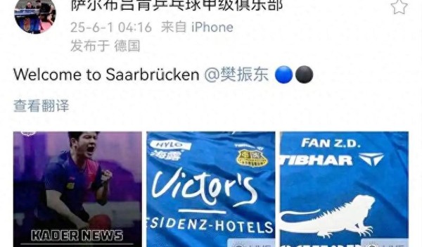 樊振东为何转战德甲？国乒巨星远赴欧洲背后的体制隐痛与青春抉择
