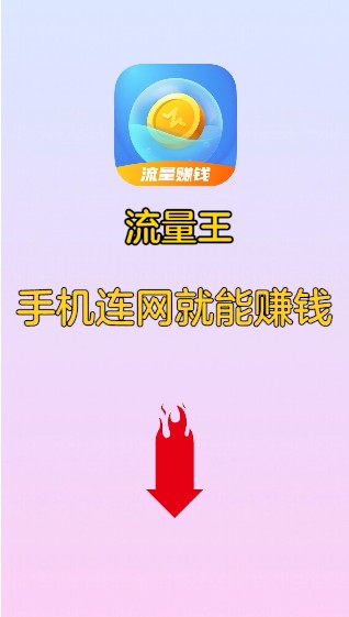 流量王