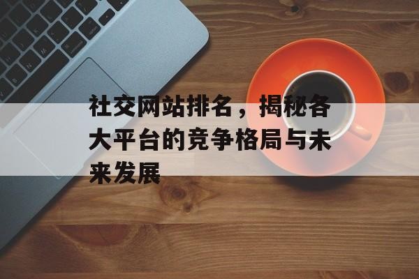 社交网站排名，揭秘各大平台的竞争格局与未来发展
