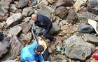 大连海滩死亡小江豚为雄性，专家称疑因导航失灵搁浅