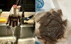 比自来水发臭更危险的，是补偿5吨水的傲慢与敷衍