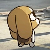 七duck