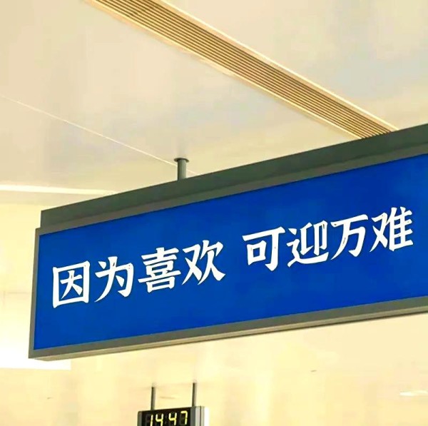 内娱爱豆的职业生涯与粉丝关系透视