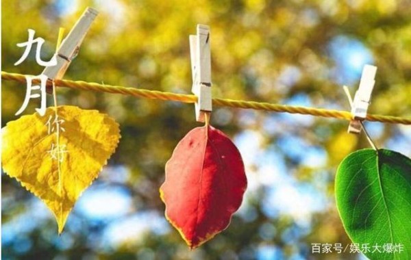 当红明星九月行程曝光，张杰、邓伦最忙，热巴拍戏，刘诗诗休息