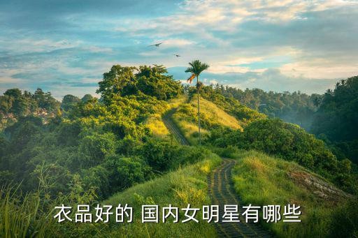 国内女星,盘点一下国内女明星好衣服榜单