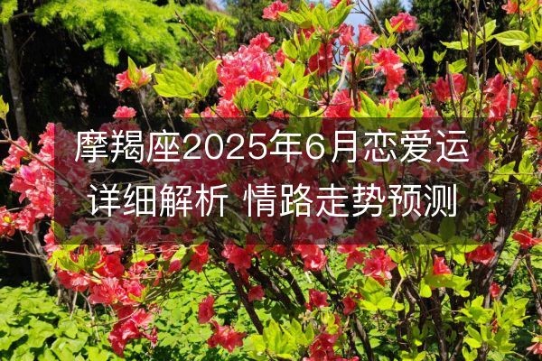 摩羯座2025年6月恋爱运详细解析 情路走势预测