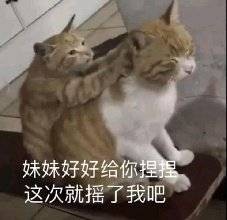 妹妹好好给你捏捏这次就摇了我吧(猫咪)_猫咪_妹妹_好好_这次表情