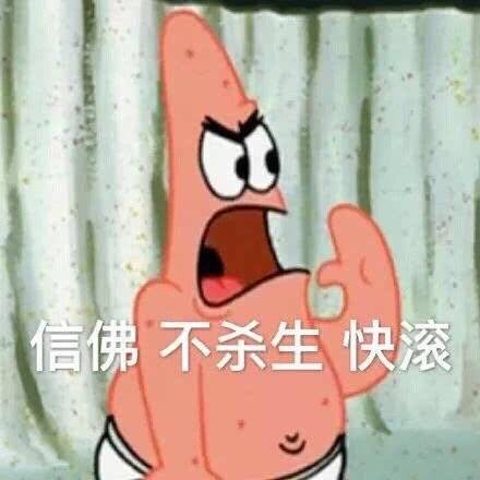 信佛不杀生快滚(派大星)_大星_快滚_信佛_杀生表情