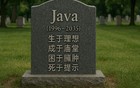 Java，1996年生，2035年卒