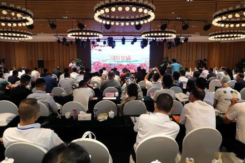 大屏直播什么项目好赚钱呢