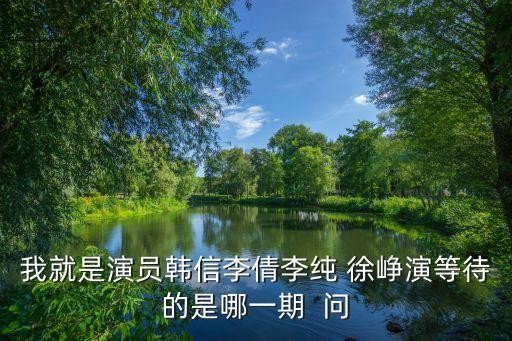 我就是演员韩信李倩李纯 徐峥演等待的是哪一期 问