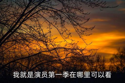 我就是演员第一季在哪里可以看