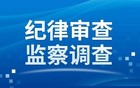 他接受纪律审查和监察调查