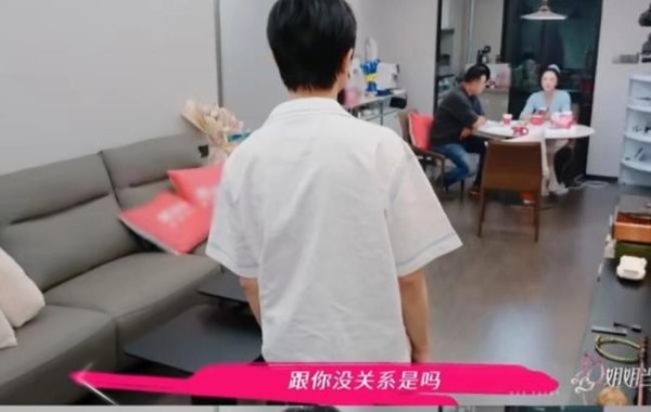 如何看董璇张维伊新婚没多久就上节目 综艺造势引争议