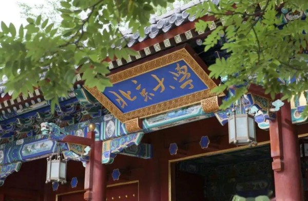撒贝宁：从央视主持人到综艺达人