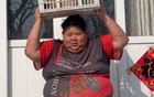 为什么河北总能养出重量级抽象网红？