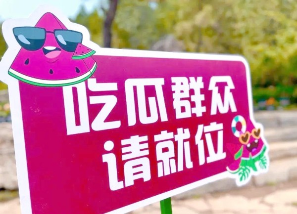 明星合作动态与情感八卦：电影与电视剧的最新动态