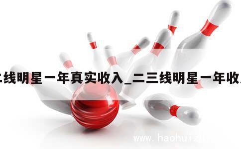 二线明星一年真实收入_二三线明星一年收入 第1张