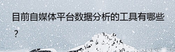 目前自媒体平台数据分析的工具有哪些？