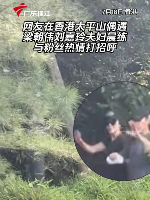 网友在香港太平山偶遇梁朝伟刘嘉玲夫妇晨练,夫妇两人与粉丝热情打招呼