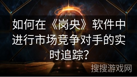 如何在《岗央》软件中进行市场竞争对手的实时追踪？