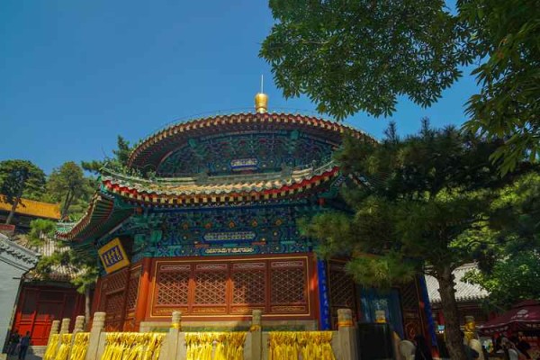 测试你跟明星缘分 测试你和哪位明星结婚？