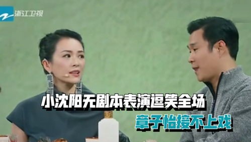 宋喆属什么
