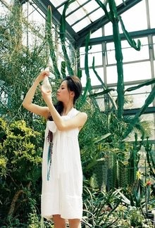 刘诗诗