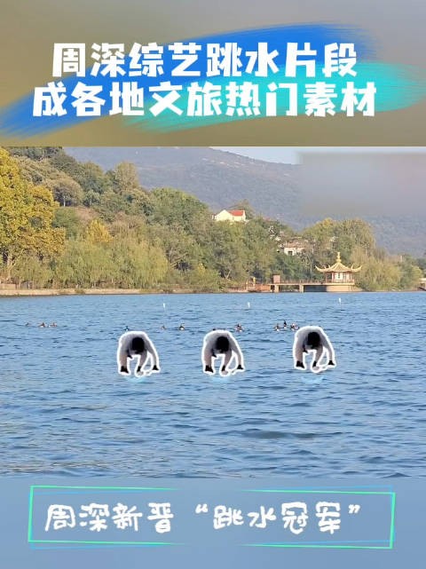 周深综艺跳水引文旅宣传热潮