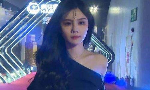 网红是什么意思(流量网红是什么意思)