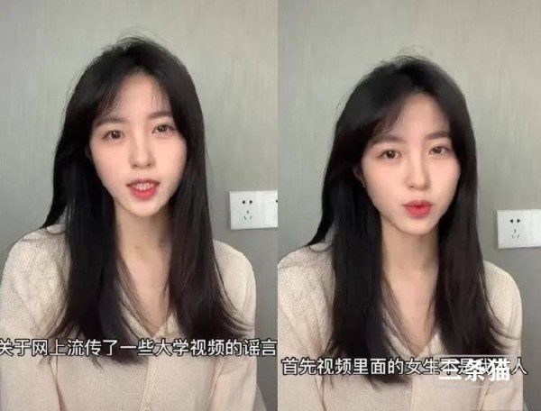 网红是什么意思(流量网红是什么意思)