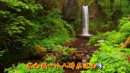 正云的一首经典歌曲《想你却又不敢打扰你》，让人百听不厌