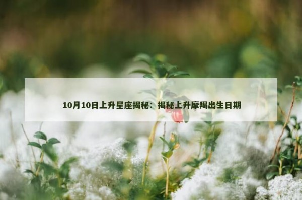 10月10日上升星座揭秘:揭秘上升摩羯出生日期
