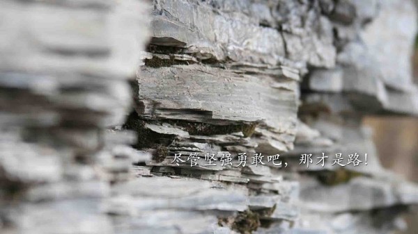 揭秘直播间明星话术，如何运用技巧吸引观众？
