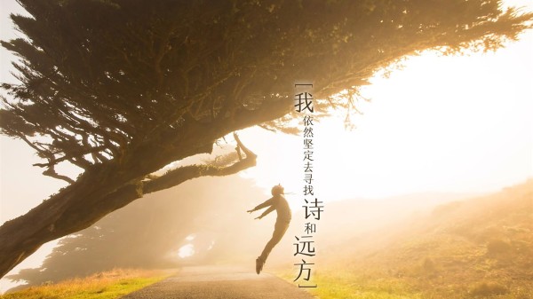 揭秘直播间明星话术，如何运用技巧吸引观众？