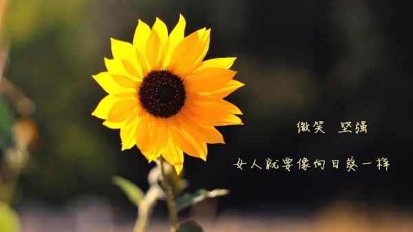 如何掌握直播话术？从李佳琦看直播销售技巧的秘诀
