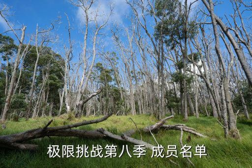  极限挑战第八季 成员名单