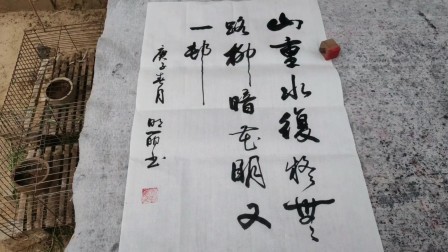 毛笔行书欣赏，爱国诗人陆游经典诗句，激励了多少人？