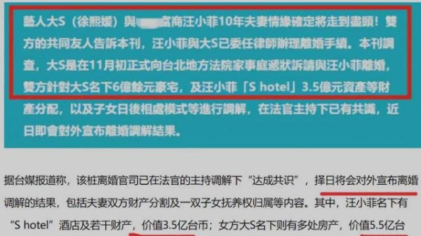 2010年，《流星花园》中的杉菜扮演者徐熙媛，统称大S……